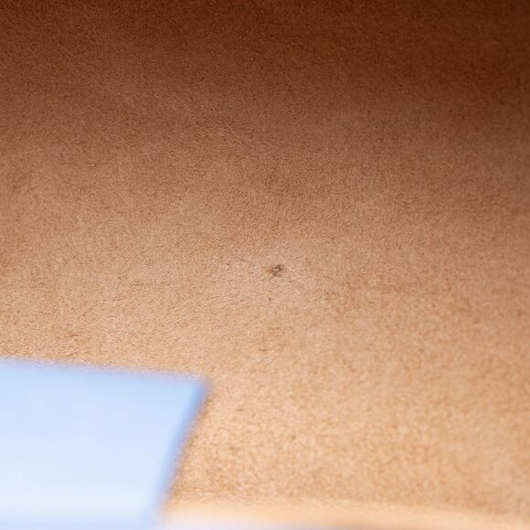 Gucci Leather Sylvie Mini Top Handle - Picture 14 of 16